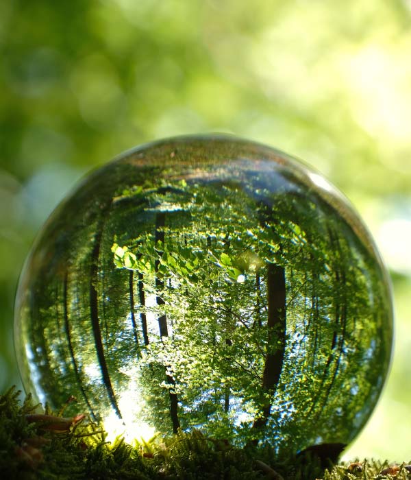 Reflection through a rain bubble