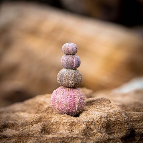 four rocks balancing on each other