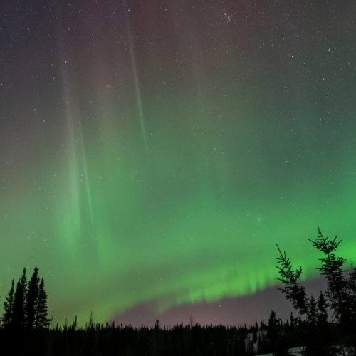 Nunavik n